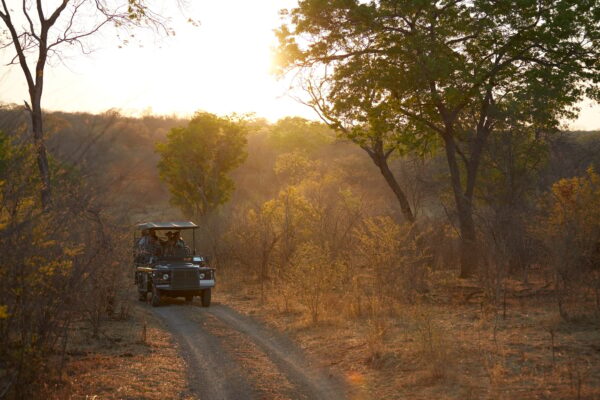 Tourists on land cruise, Victoria Falls, Zimbabwe